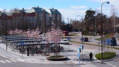 Busstorget vid Mörby c på våren