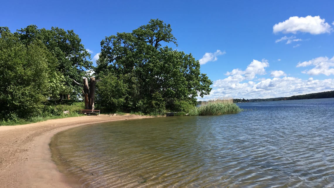 En sandstrand en solig sommardag med klart fint vatten. 