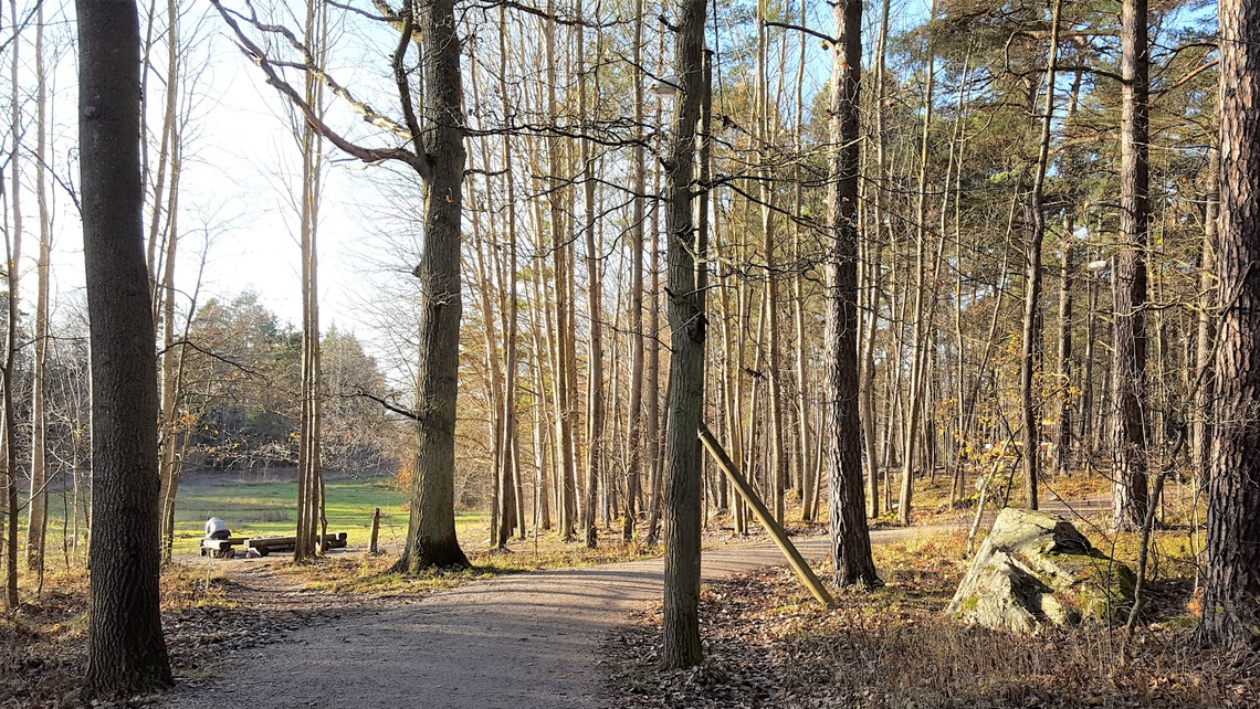 Altorpsskogens motionsspår. 