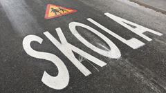 Texten skola inskrivet i vägbanan.