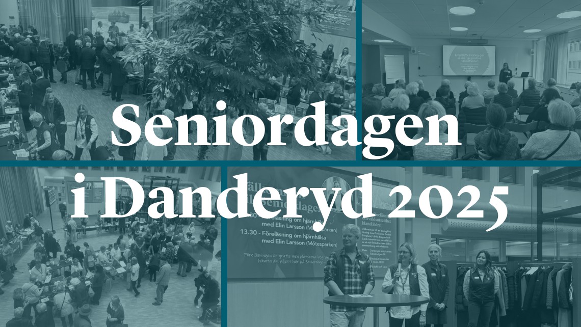 Kollage från Seniordagen 2025.