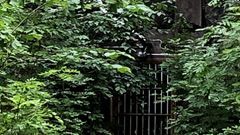 Skyddsrum i berget i behov av renovering nära Djursholms slott. Bostad för utrotningshotade arten långörade fladddermöss.