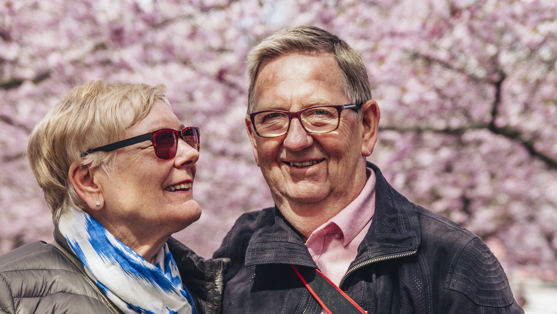 Glada pensionärer i ett hav av körsbärsblommor.