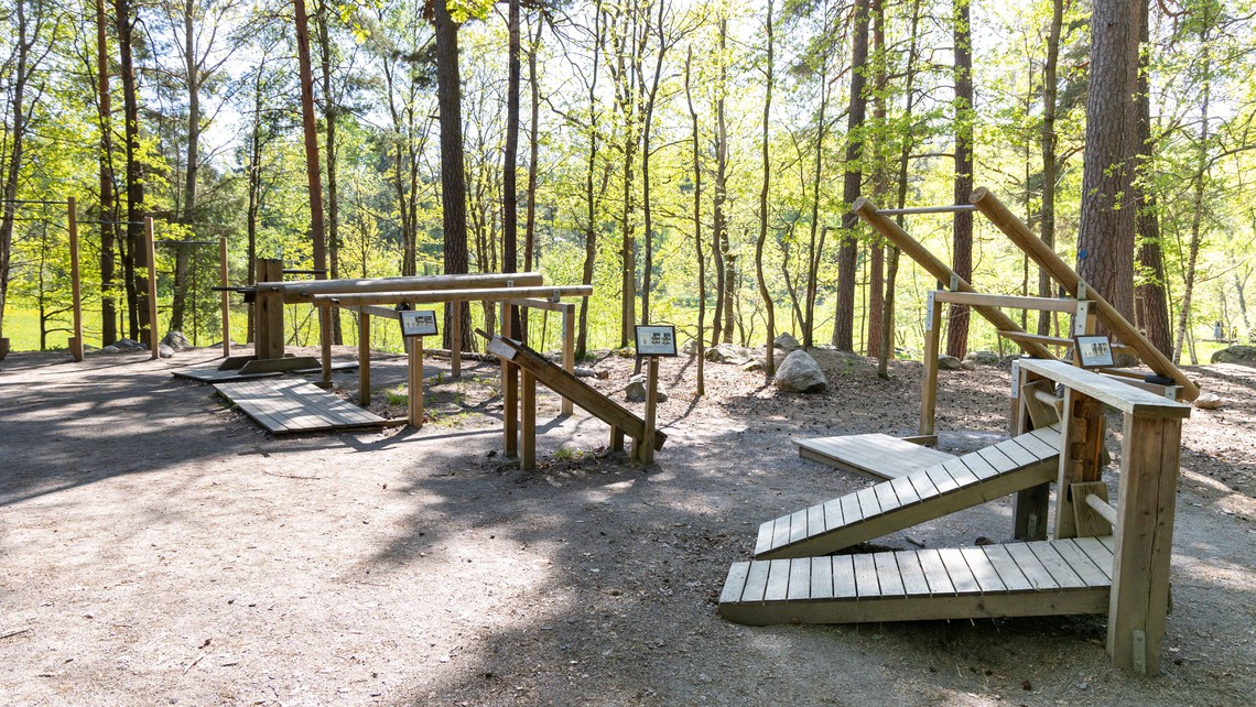 Utegym i trä på en solig plats vid skogen.